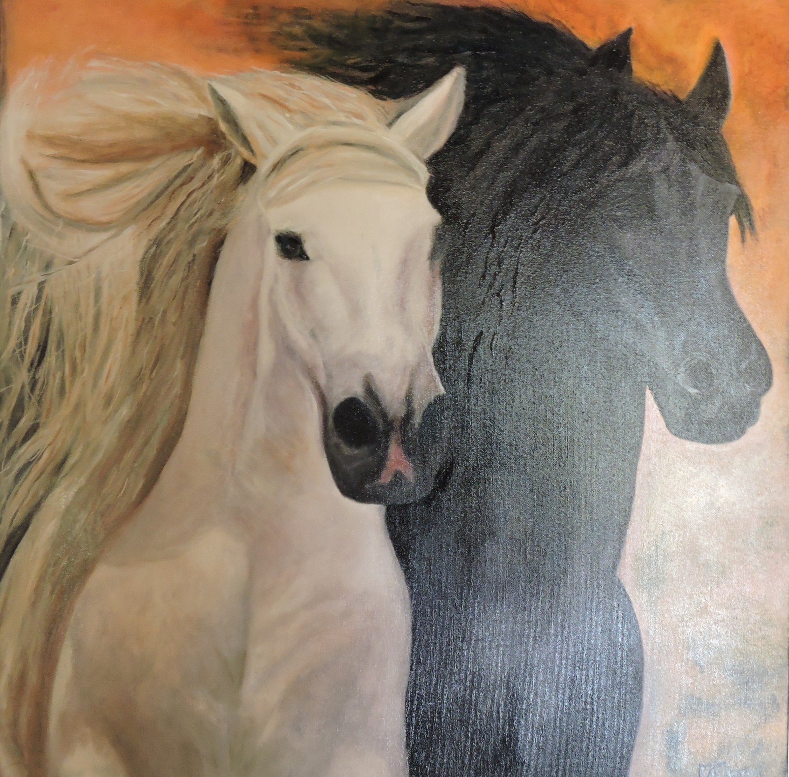 GALOP