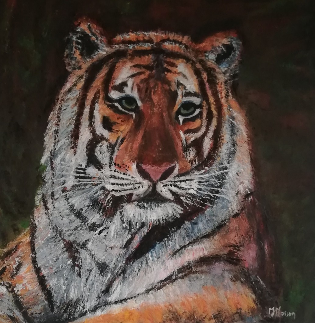 TIGRE
